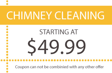 chimney cleaning long island