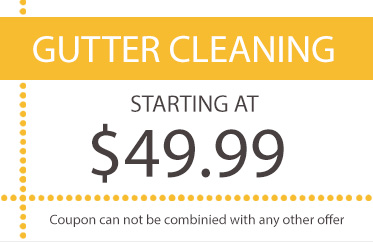 gutter cleaning long island
